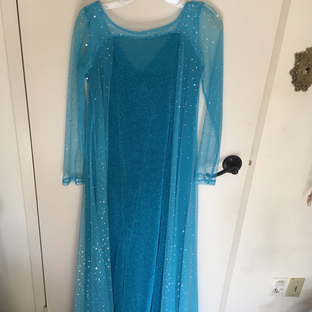 Elsa-inspired costume